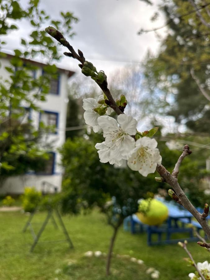 Sakliderebutikotel Едремит Екстериор снимка
