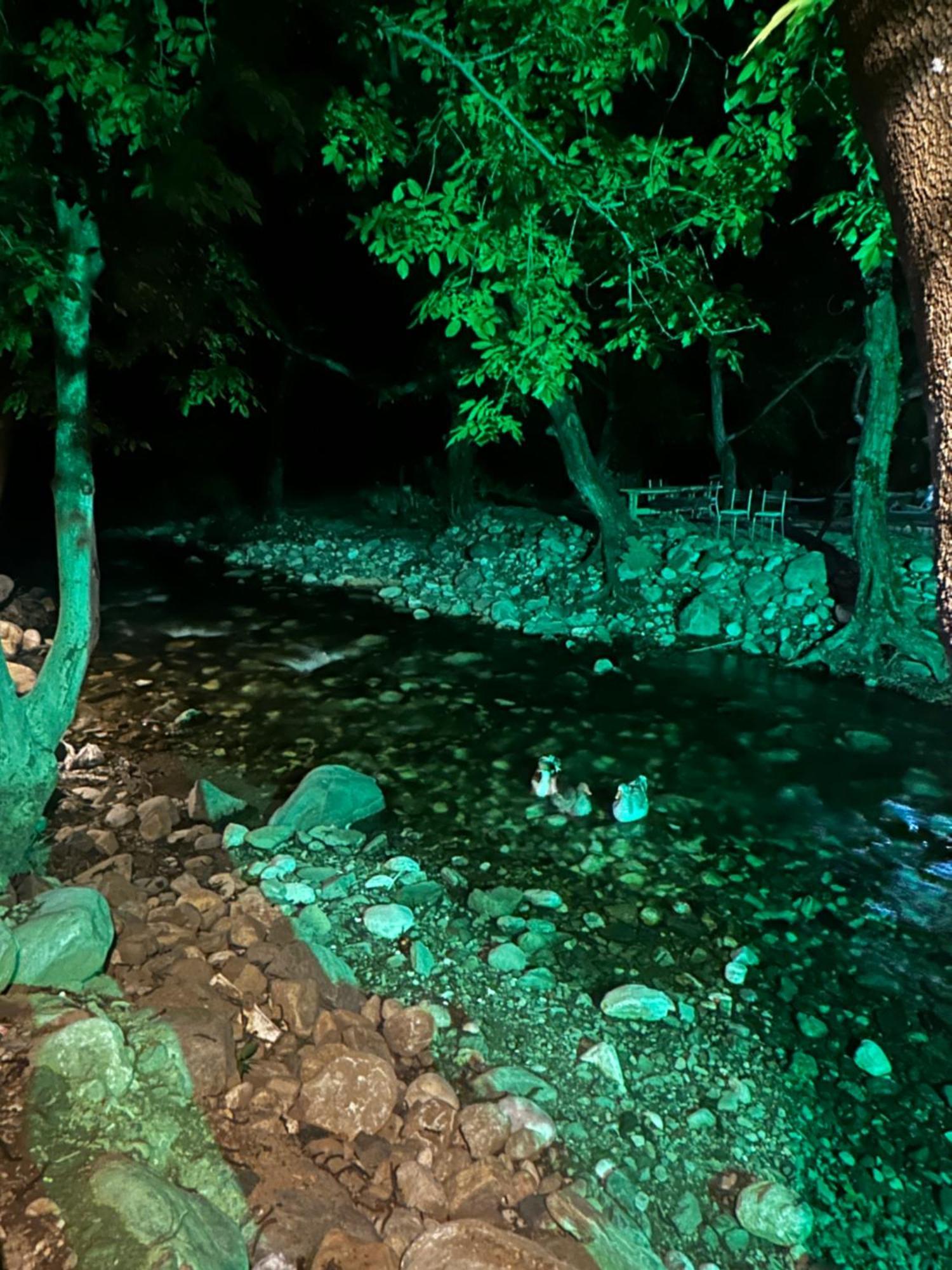 Sakliderebutikotel Едремит Екстериор снимка